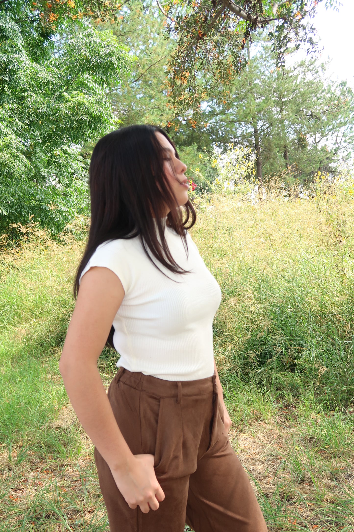 Top cuello alto