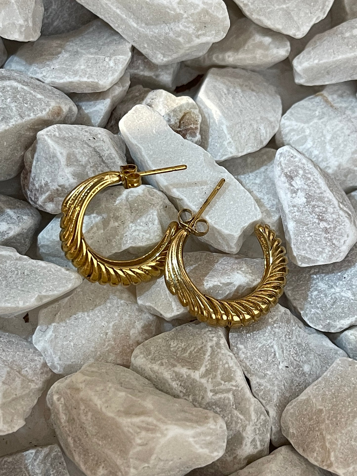 Aretes conchita